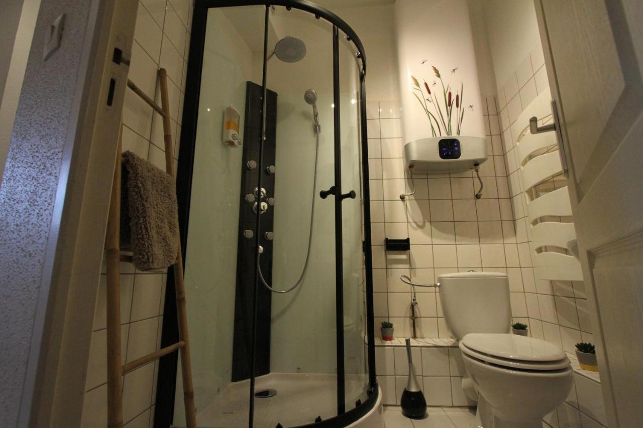 קולמר "Appartement Au Centre & Parking" Logement Petite Venise מראה חיצוני תמונה