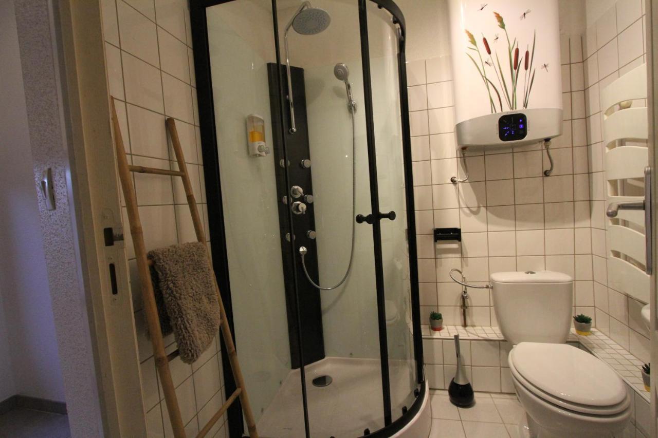 קולמר "Appartement Au Centre & Parking" Logement Petite Venise מראה חיצוני תמונה