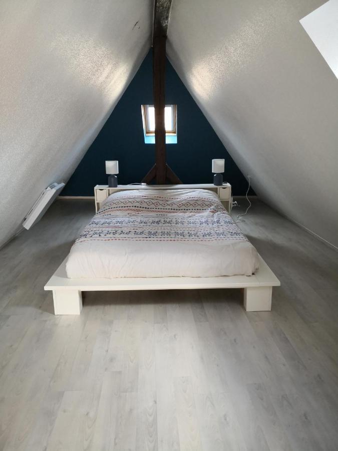 קולמר "Appartement Au Centre & Parking" Logement Petite Venise מראה חיצוני תמונה