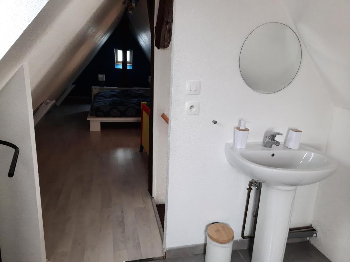 קולמר "Appartement Au Centre & Parking" Logement Petite Venise מראה חיצוני תמונה